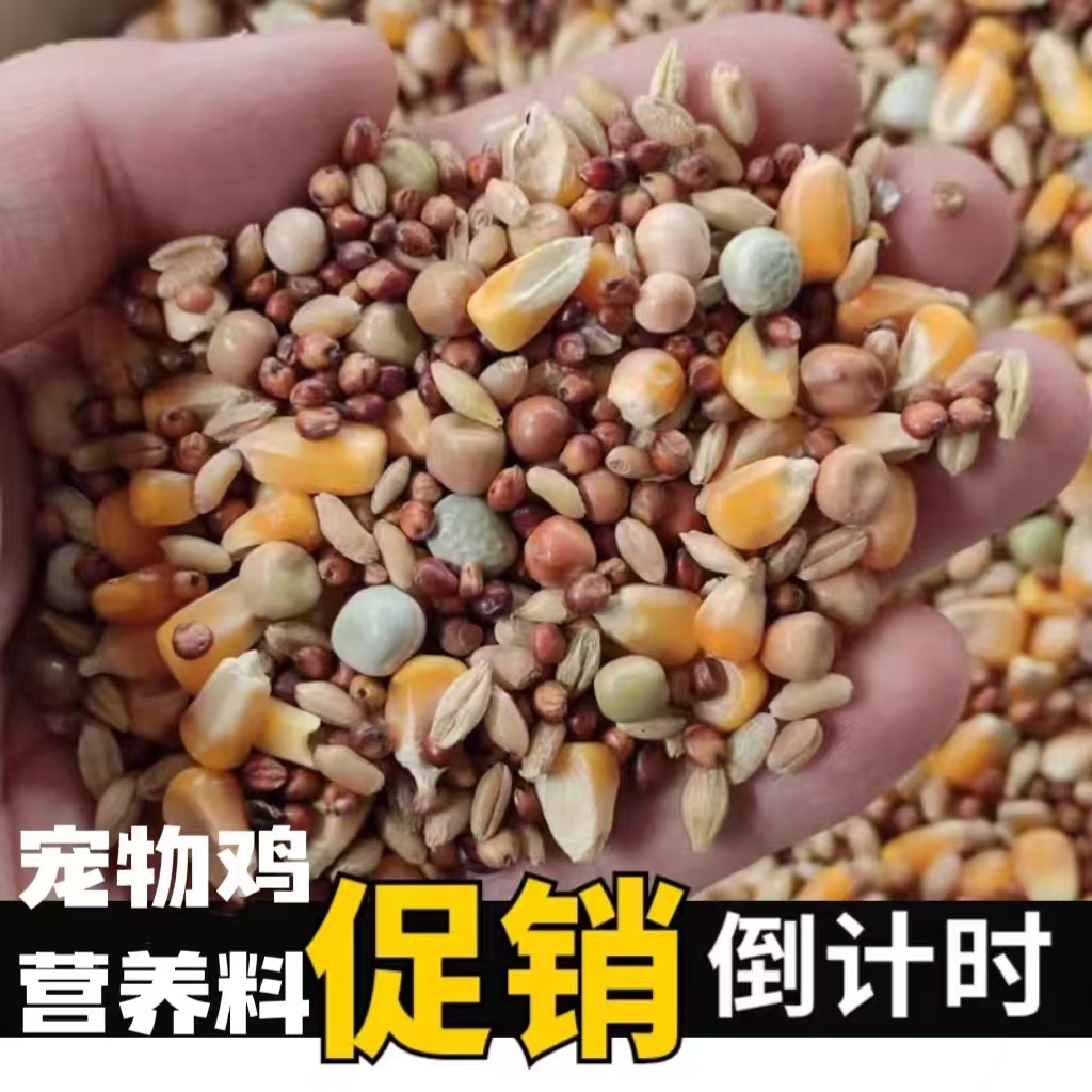 宠物鸡媒营养混合杂粮鸽子鹦鹉五谷杂粮料初级农产品胸口