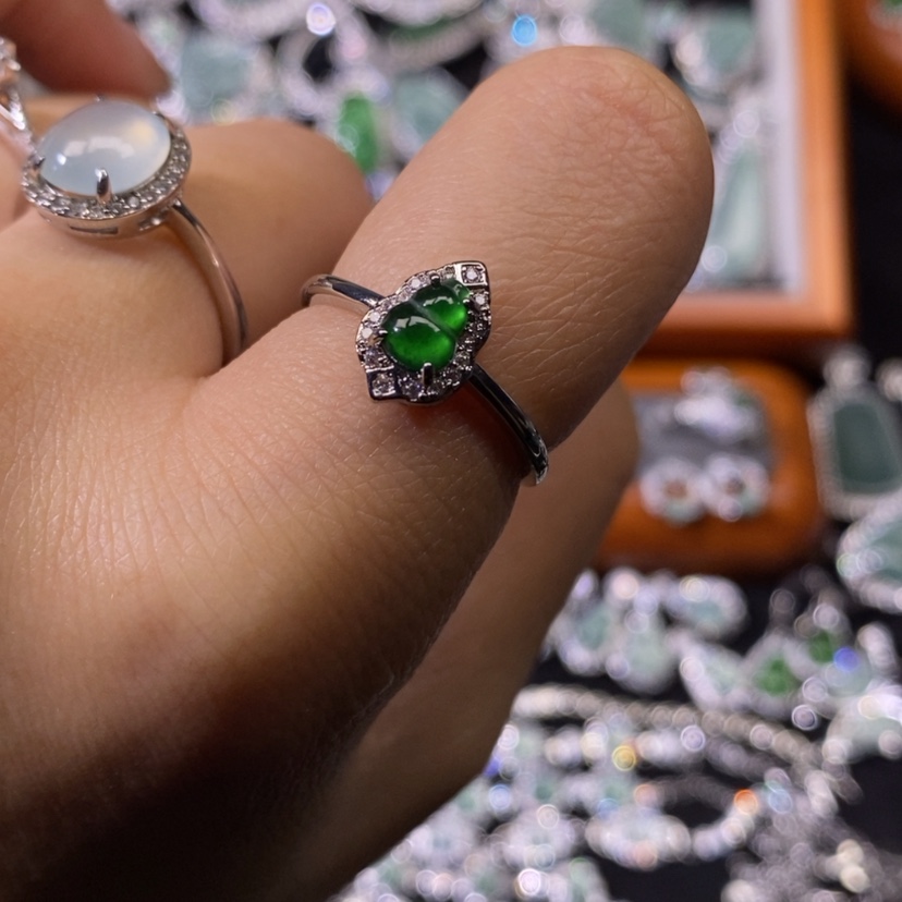 【闪购商品】翡翠颈饰未镶嵌天然