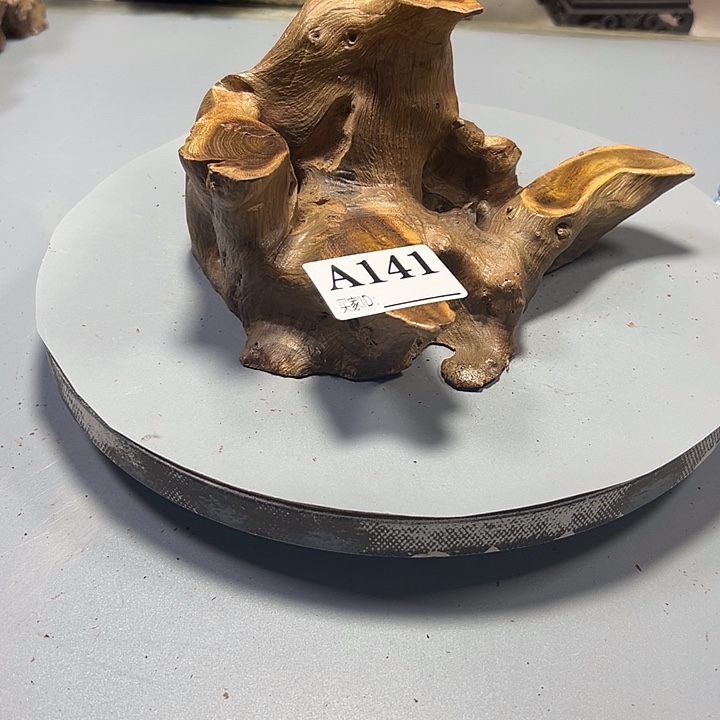 小****大果紫檀（缅甸花梨）