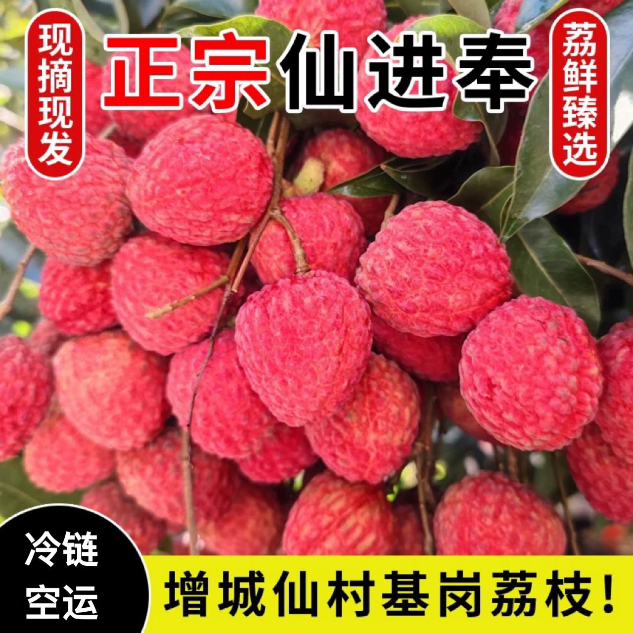 【5斤中大果】增城仙村仙进奉荔枝进奉荔枝基岗仙进奉荔枝新鲜