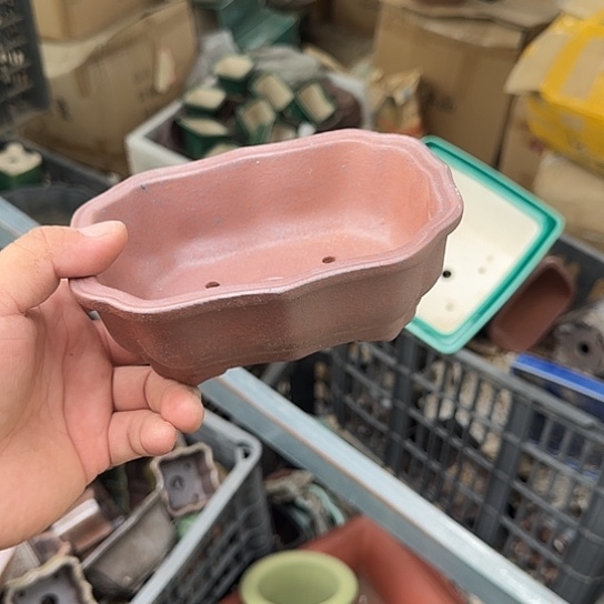 不用急哈就能来拿东西给她啦