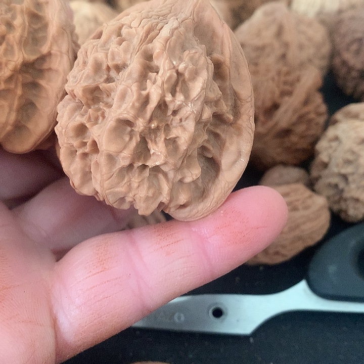 壞***圭大叶紫檀（黑酸枝木类）