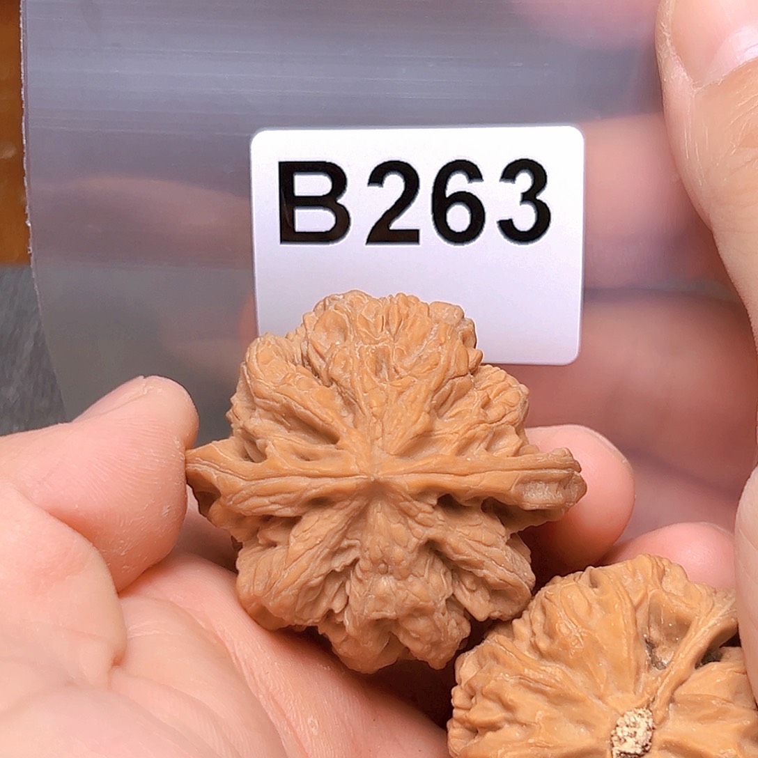 文玩核桃吊坠44➕大粗筋