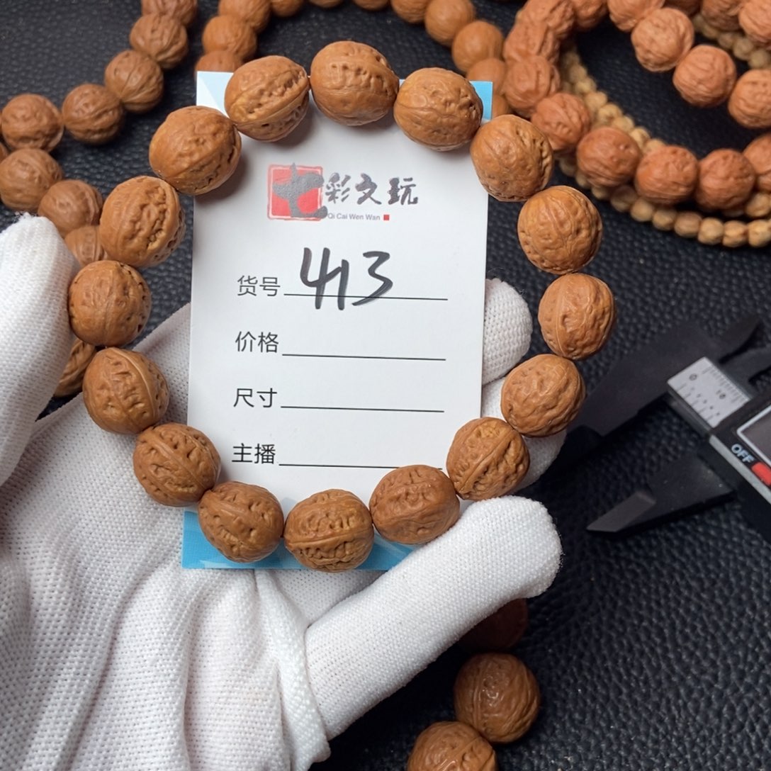 野生小秋子小光头14尺有浮黄413