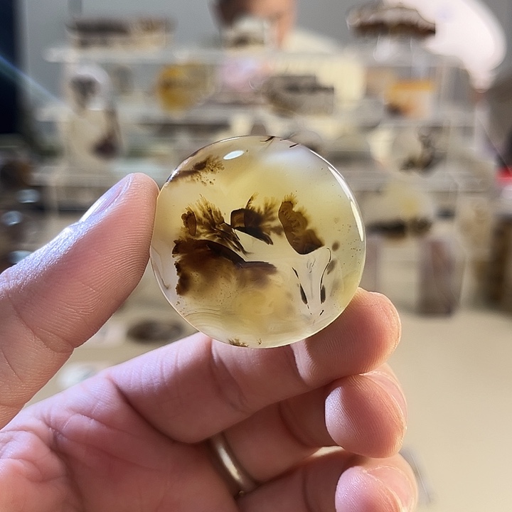 玛瑙/玉髓吊坠(不含链)未镶嵌