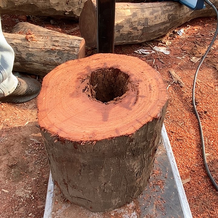 染料紫檀（血檀）889