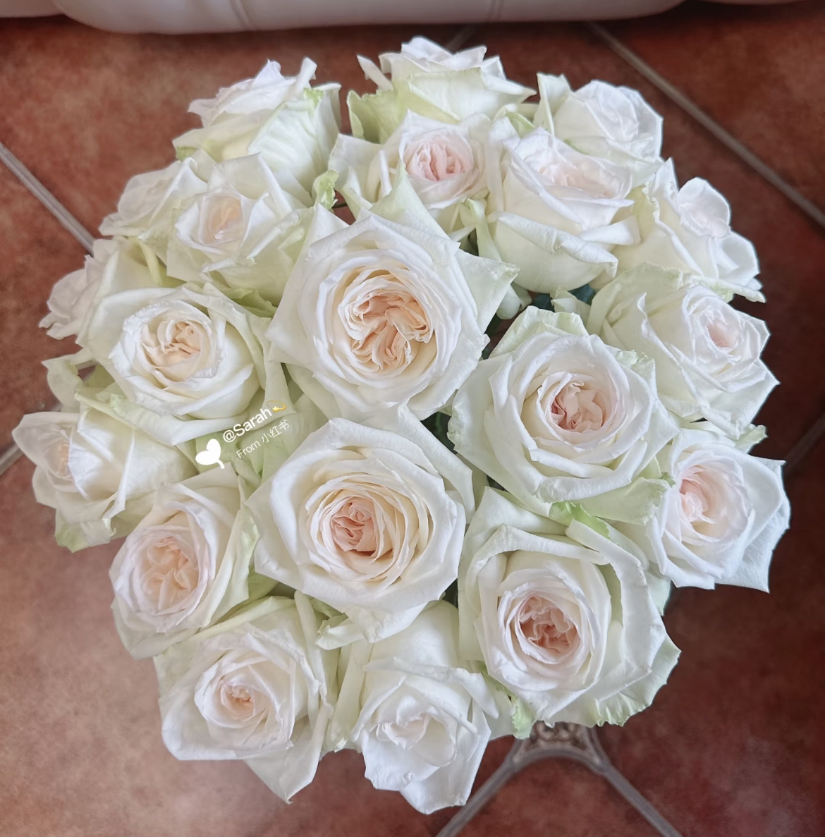 （白荔枝）单头玫瑰15支+5支防损 鲜花任意两单包邮