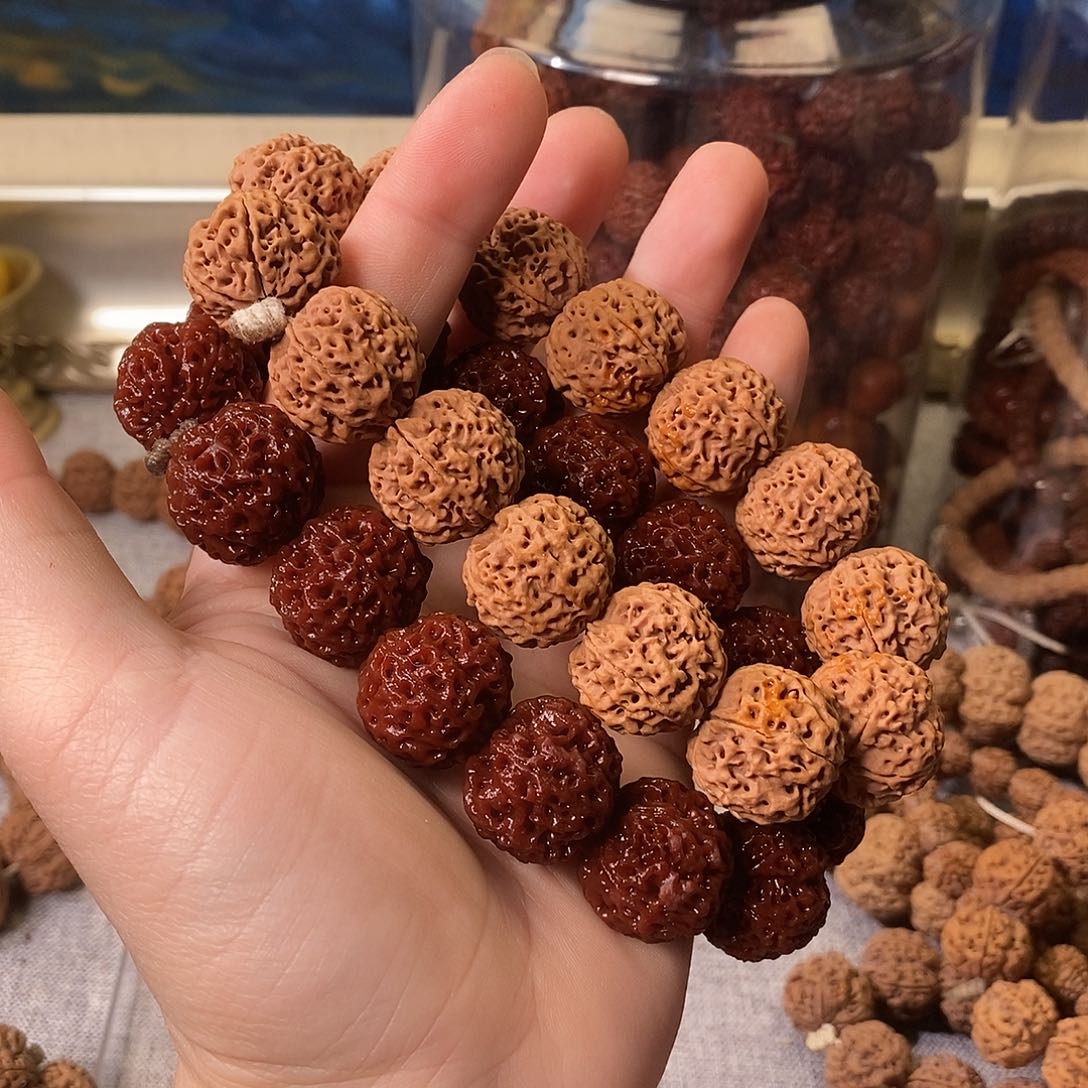 金刚菩提手串五星蜂王21mm