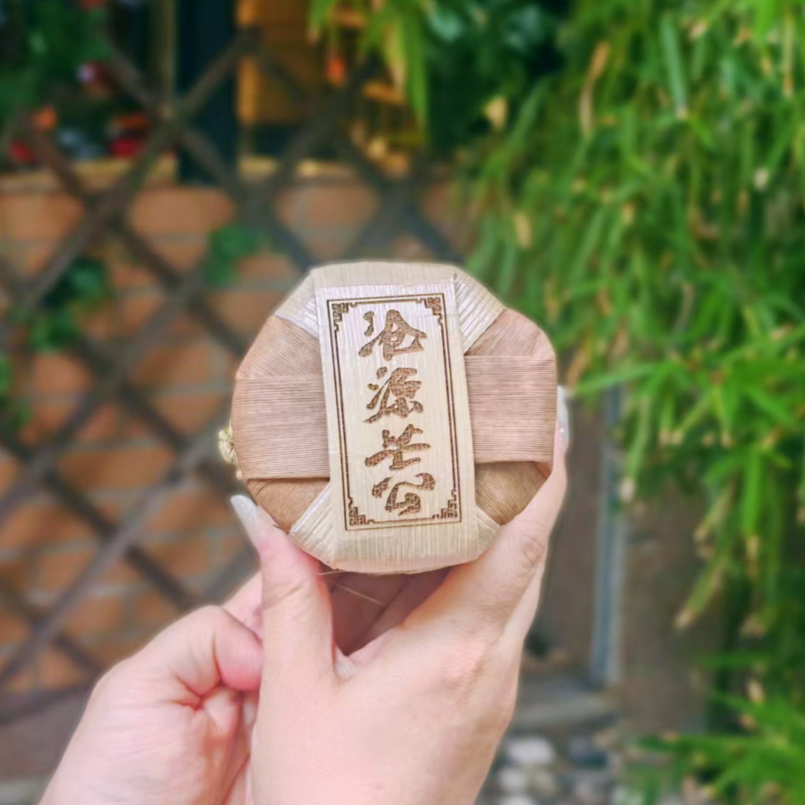 【50克小饼茶】沧源芒公，普洱生茶，云南大叶种晒青茶，可藏可饮