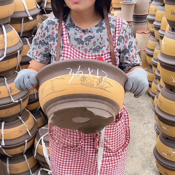紫砂花盆盆栽植物花卉种植