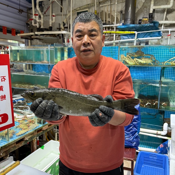 活鲈鱼（直播称重）