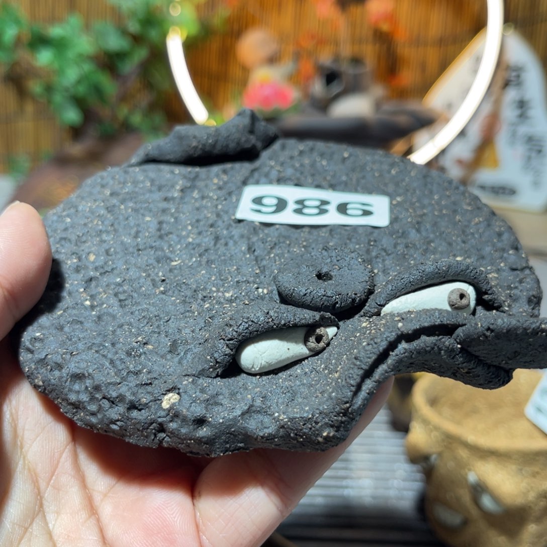 木村信弘柴烧保平