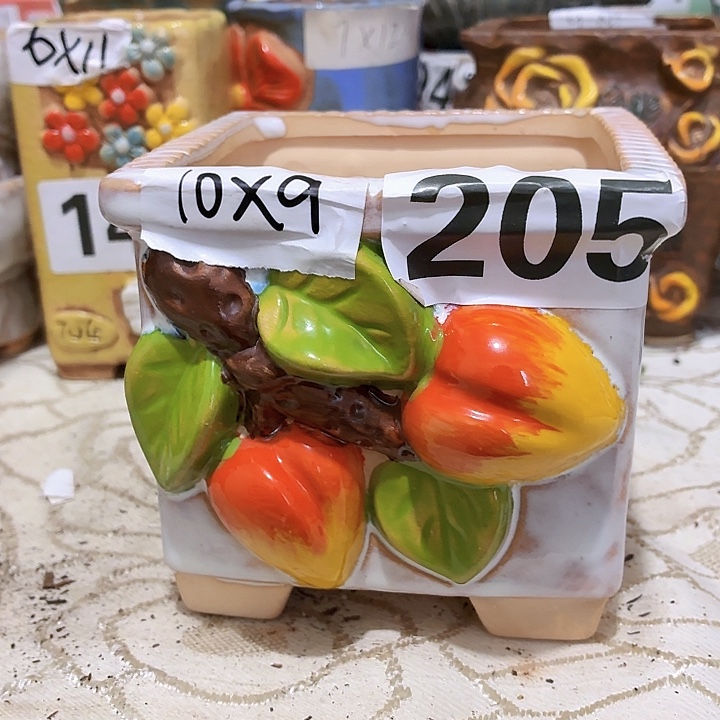 多肉花盆满15包邮