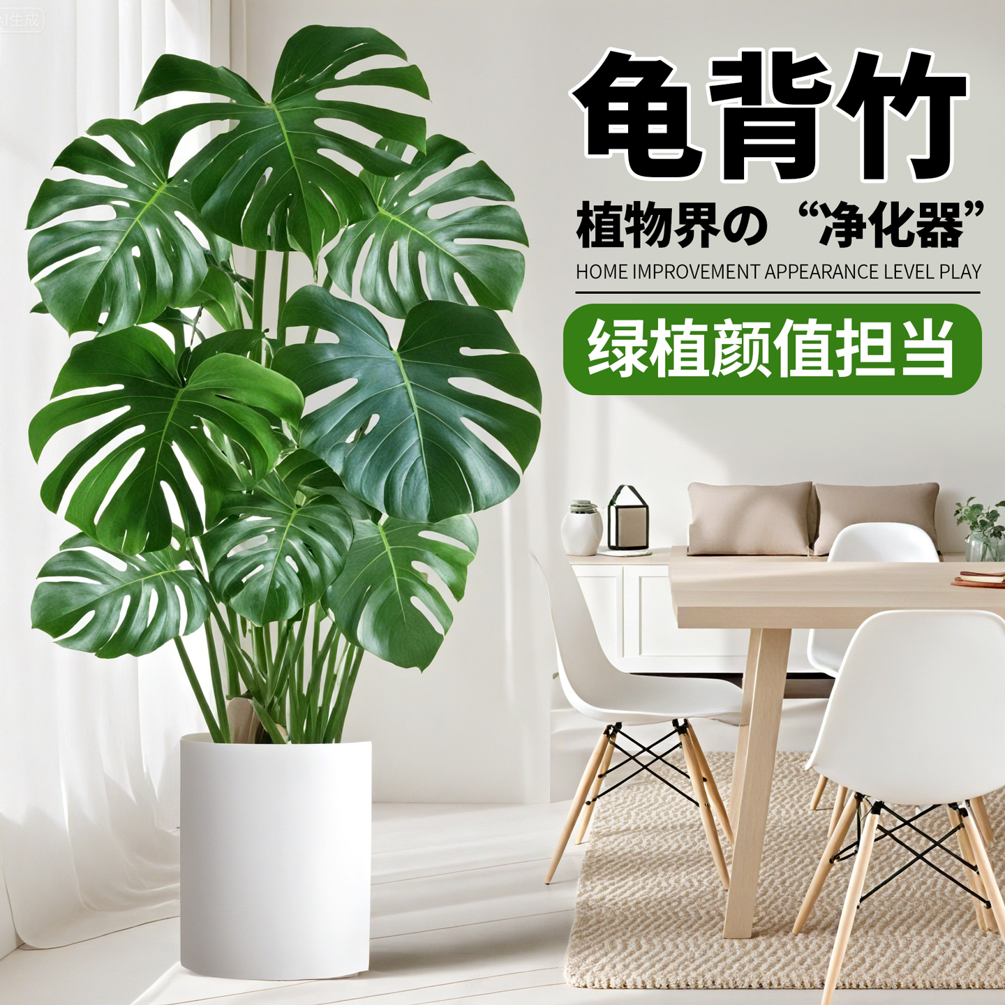 龟背竹盆栽客厅大型绿植老桩开背室内常青观叶植物好养活网红绿植