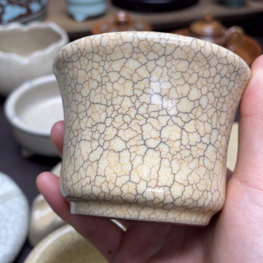 无**雨福利青瓷茶具杯子