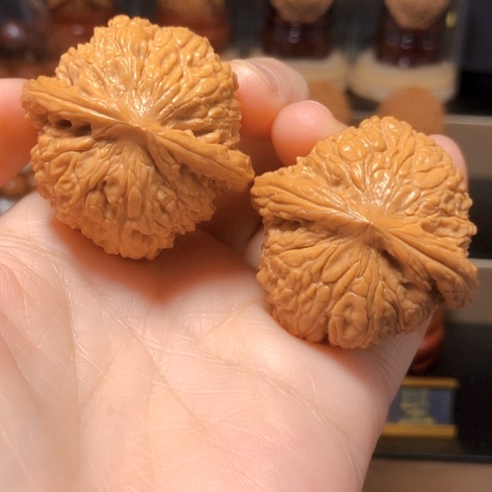 野生：红宝石全品
