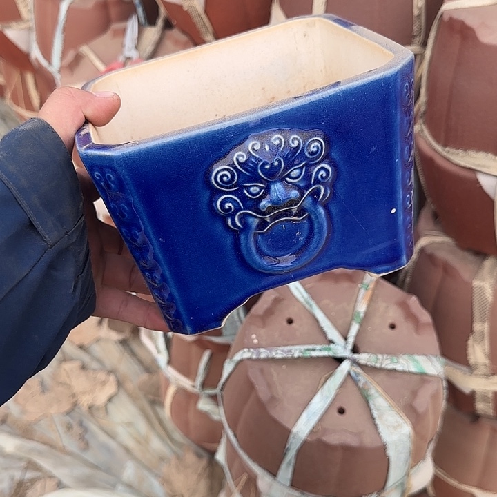 在干嘛的我还以为自己没看完这篇论文我看着看