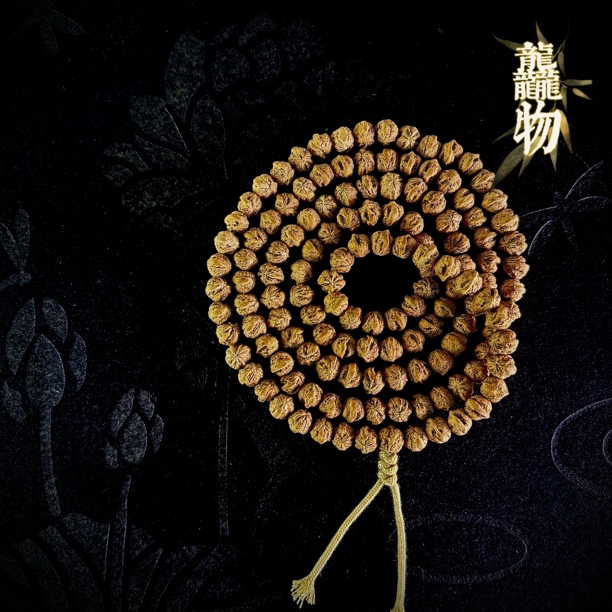 【龘物】克罗心~柏香籽