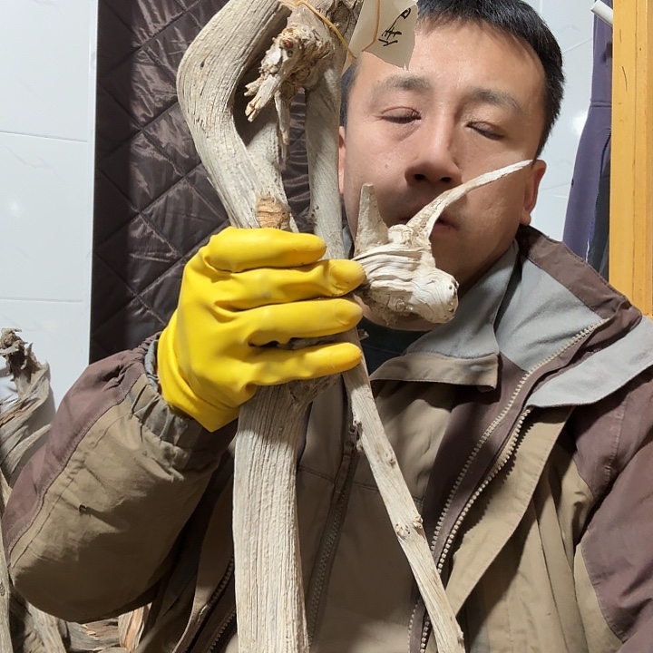 佳***杰柏木崖柏毛料的加工