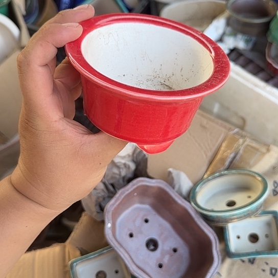 是因为它具有非常丰富且独特功能
