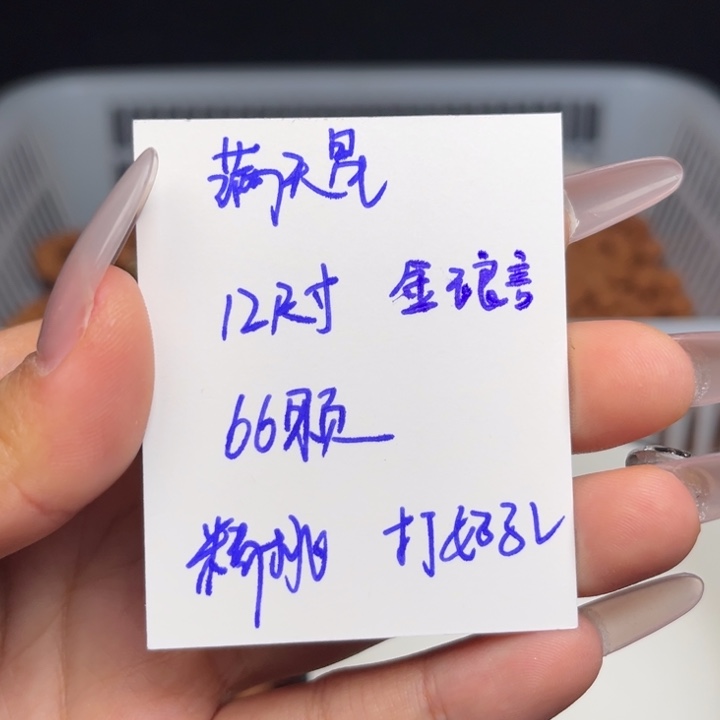 手串桃核秦岭龙纹桃核满天星