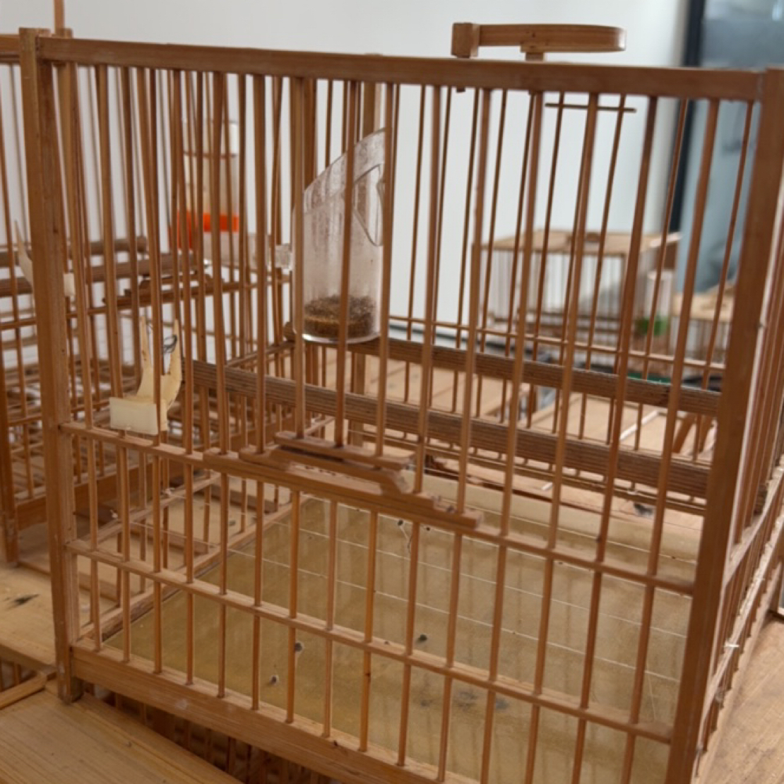 全套二手草笼鸟笼，只有跳杠，其他配件无拍前其他考虑好，二手物品