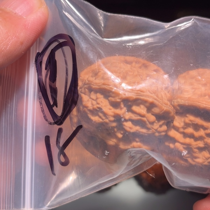 威***军文玩核桃吊坠1呃呃呃呃