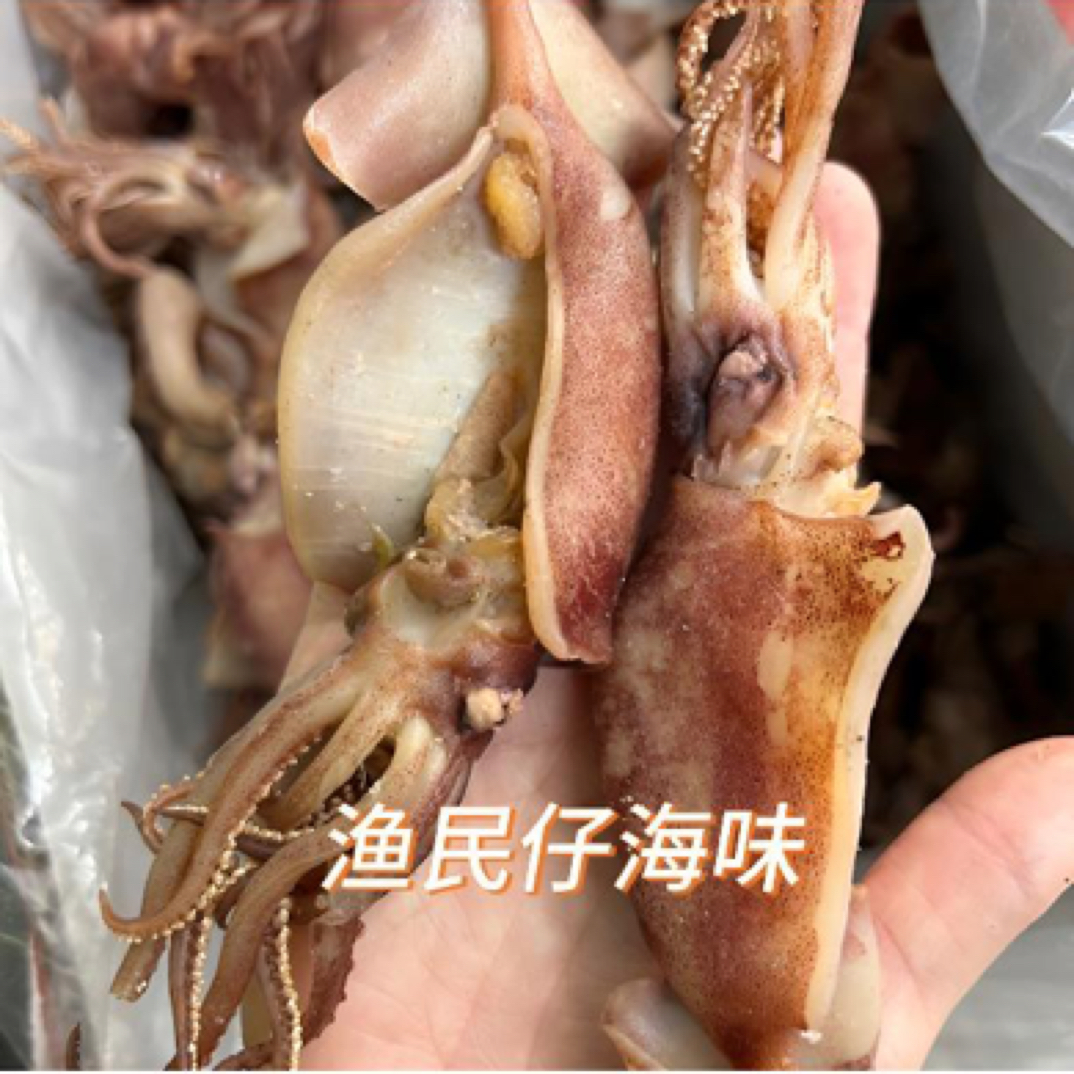 大号海兔干 脆鱿筒 开肚鱿筒 海产干货
