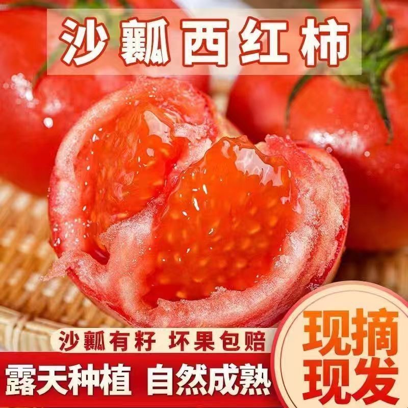 攀枝花沙瓤西红柿自然熟番茄酸甜多汁应季新鲜采摘水果蔬菜生吃