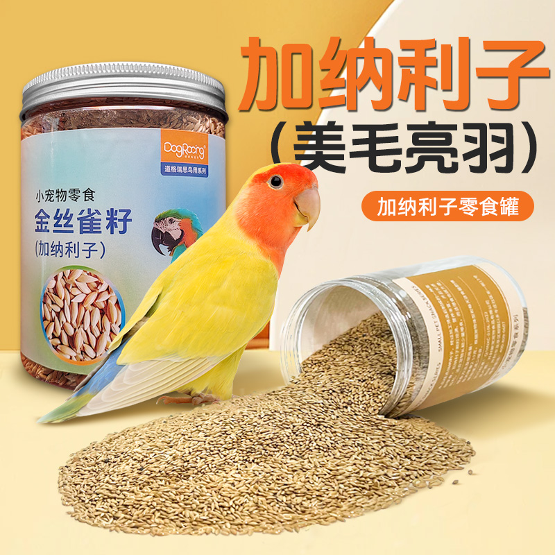 加纳利子粮食鹦鹉鸟食零食玄凤饲料牡丹虎皮逗鸟训鸟专用鹦鹉零食