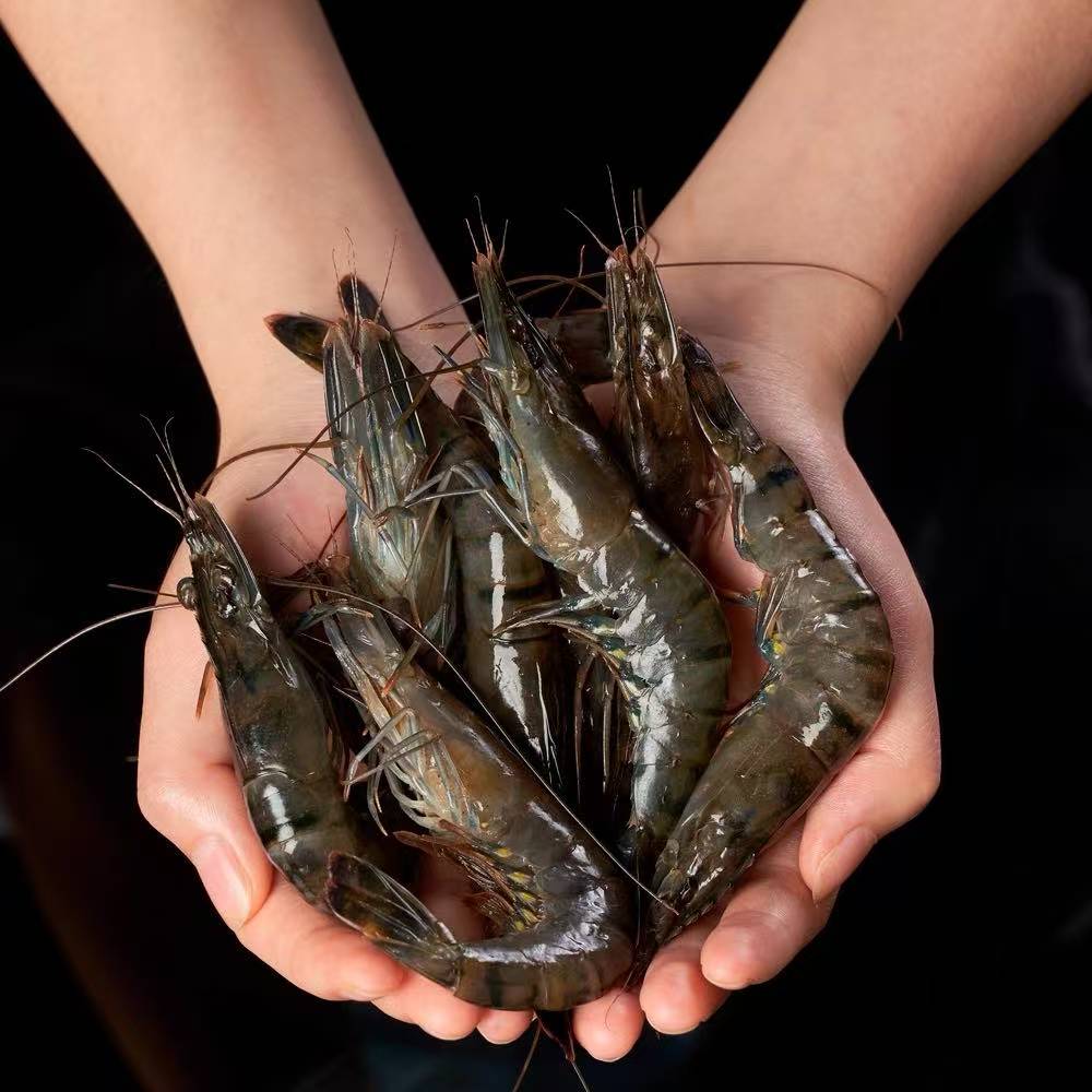 【3大斤精品黑虎虾】3040规格 大个头黑虎虾 一盒3斤顺丰特快