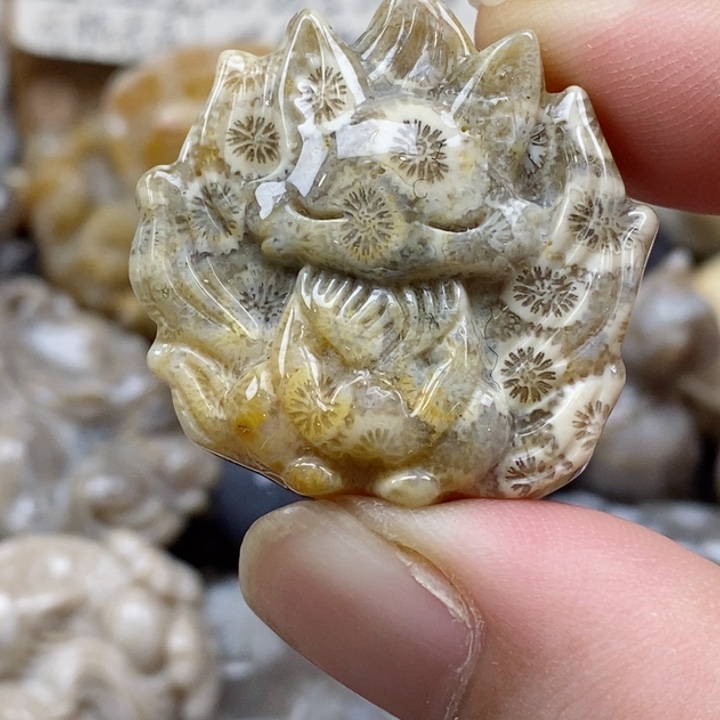 颈饰未镶嵌硅化珊瑚（珊瑚玉）小