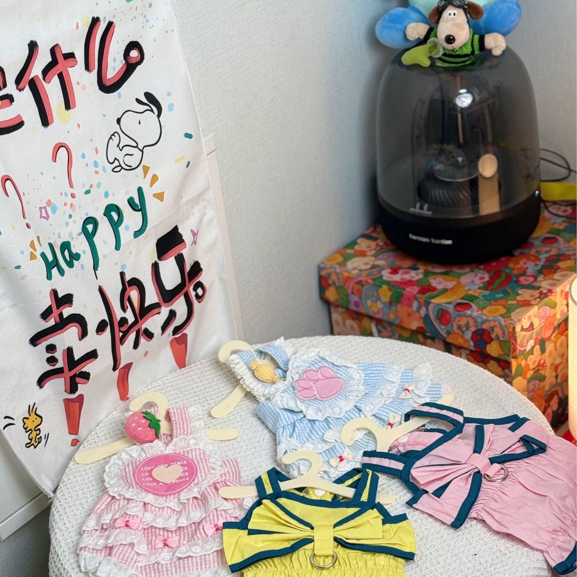 猫猫狗狗的新衣哟