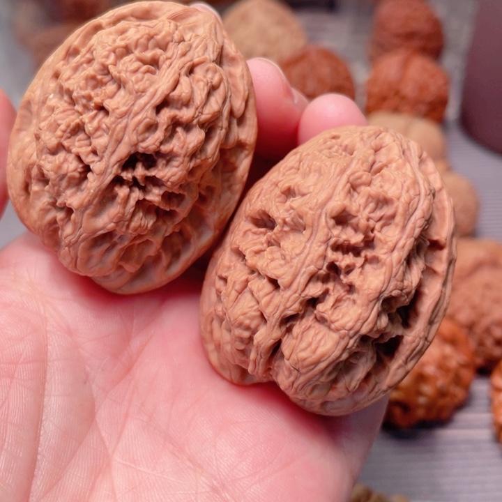 ?*?38尺寸华北将军膀全品