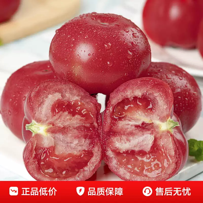 【新摘】云南高原沙瓤西红柿新鲜水果番茄自然成熟现摘生吃蔬菜