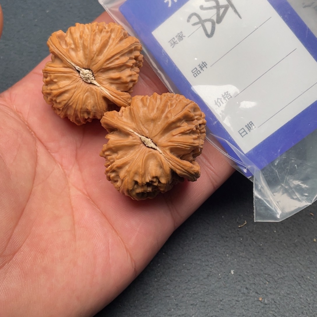 核桃把件43白狮子，881号