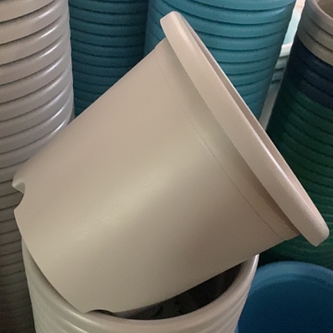 树脂四季4号微瑕灰白无托8个