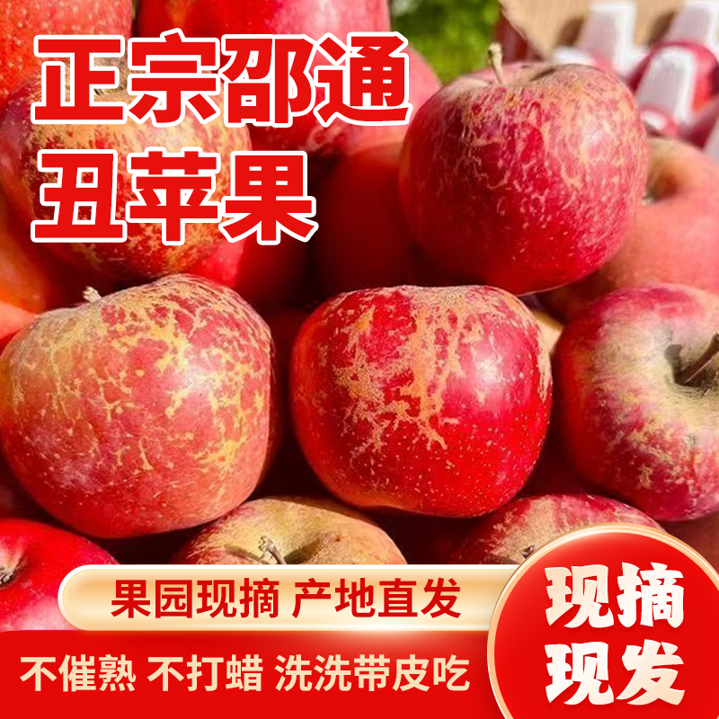 2025年正宗云南昭通红露糖心丑苹果脆甜多汁樱桃新小苹果冰糖心