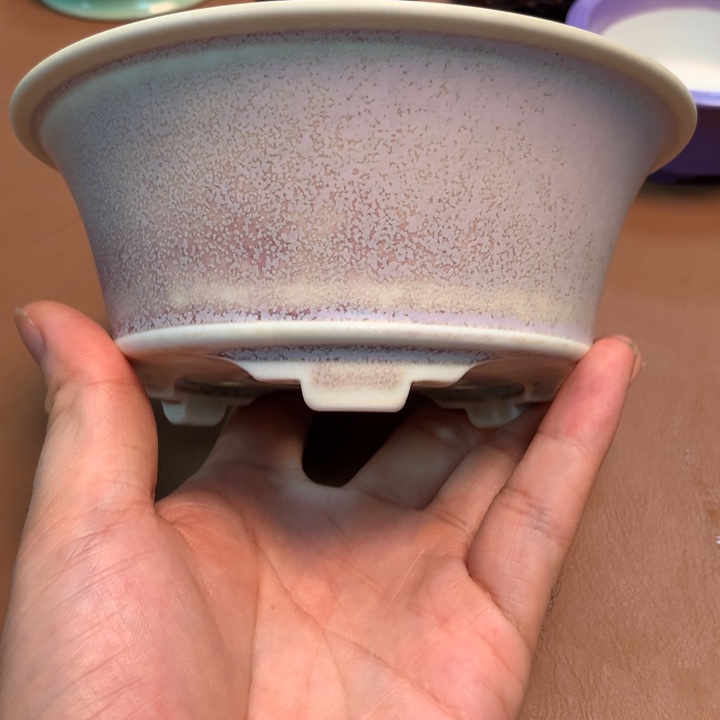黄***光的微博视频我想我