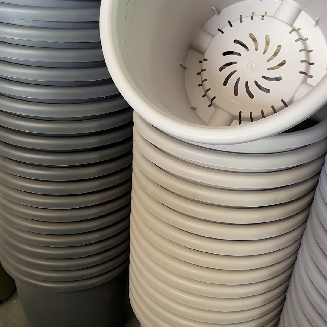 树脂四季9号无托4个灰白微瑕