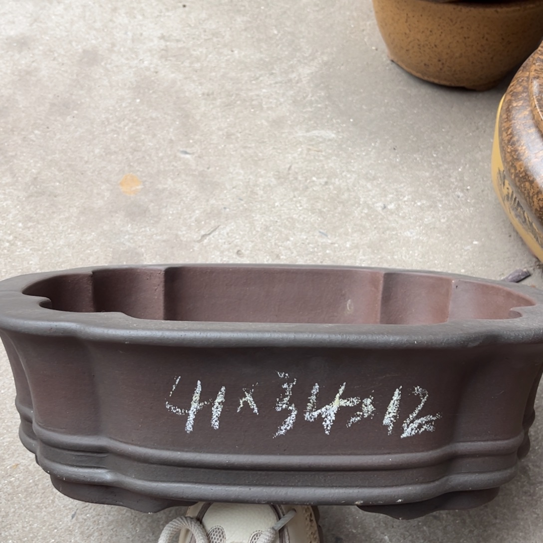 花盆紫砂盆景艺术