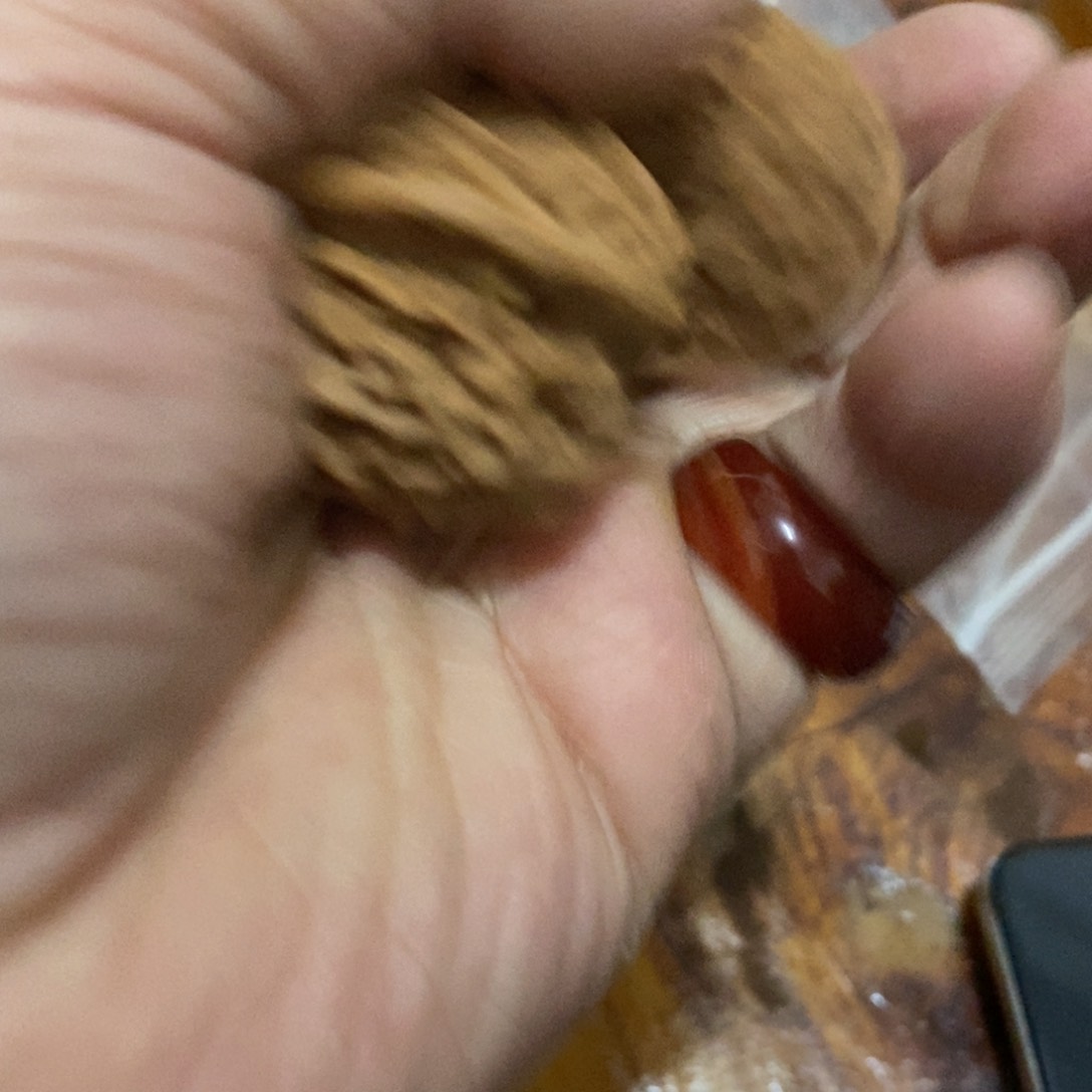 秦岭森林景观是在明代