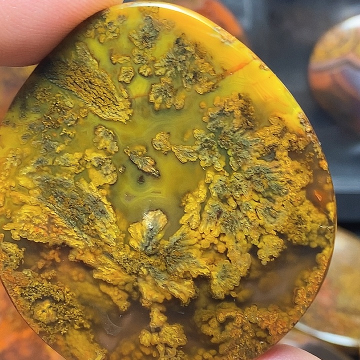 隋***弋未镶嵌战国红玛瑙/玉髓