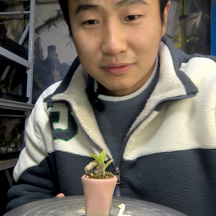 ****%中青园艺一物一拍花184