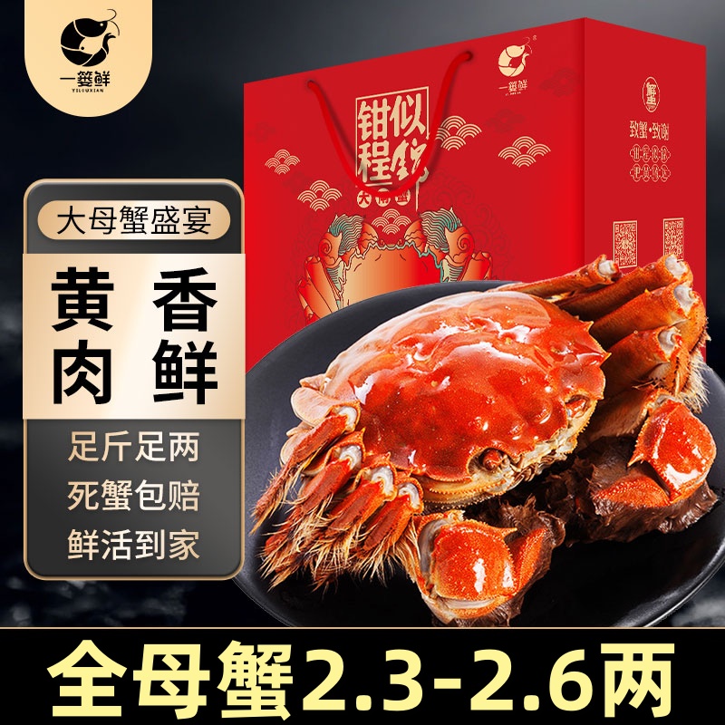 【活蟹现货】精品苏州大闸蟹全母蟹（2.3-2.6两/只） 6只装 8只装 