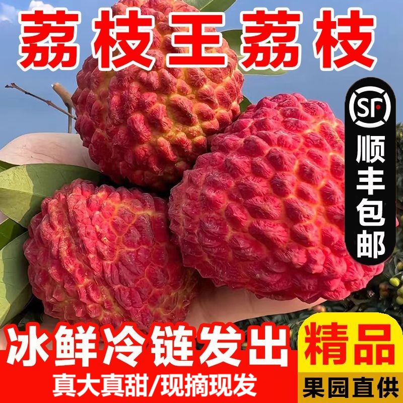 【顺丰/京东】火山岩荔枝王新鲜应季水果现摘现发巨无霸荔枝王