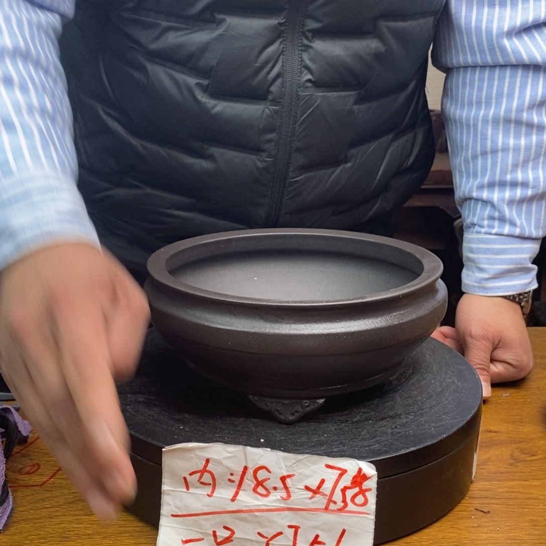 红陶货号一只YJ56