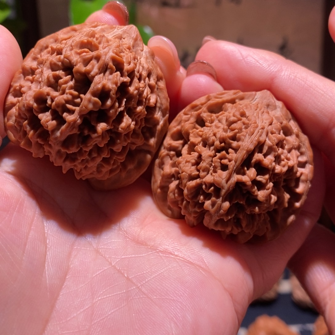 一***草把件文玩核桃星星41