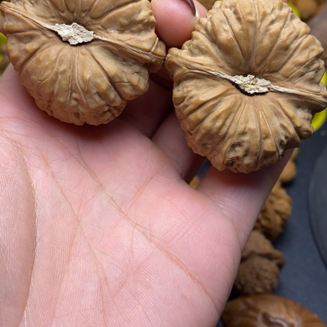 手串/手链核桃好**宋南瓜47