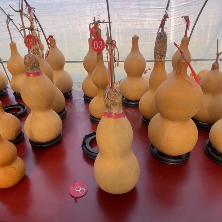 *****银S925葫芦直播间一物一拍